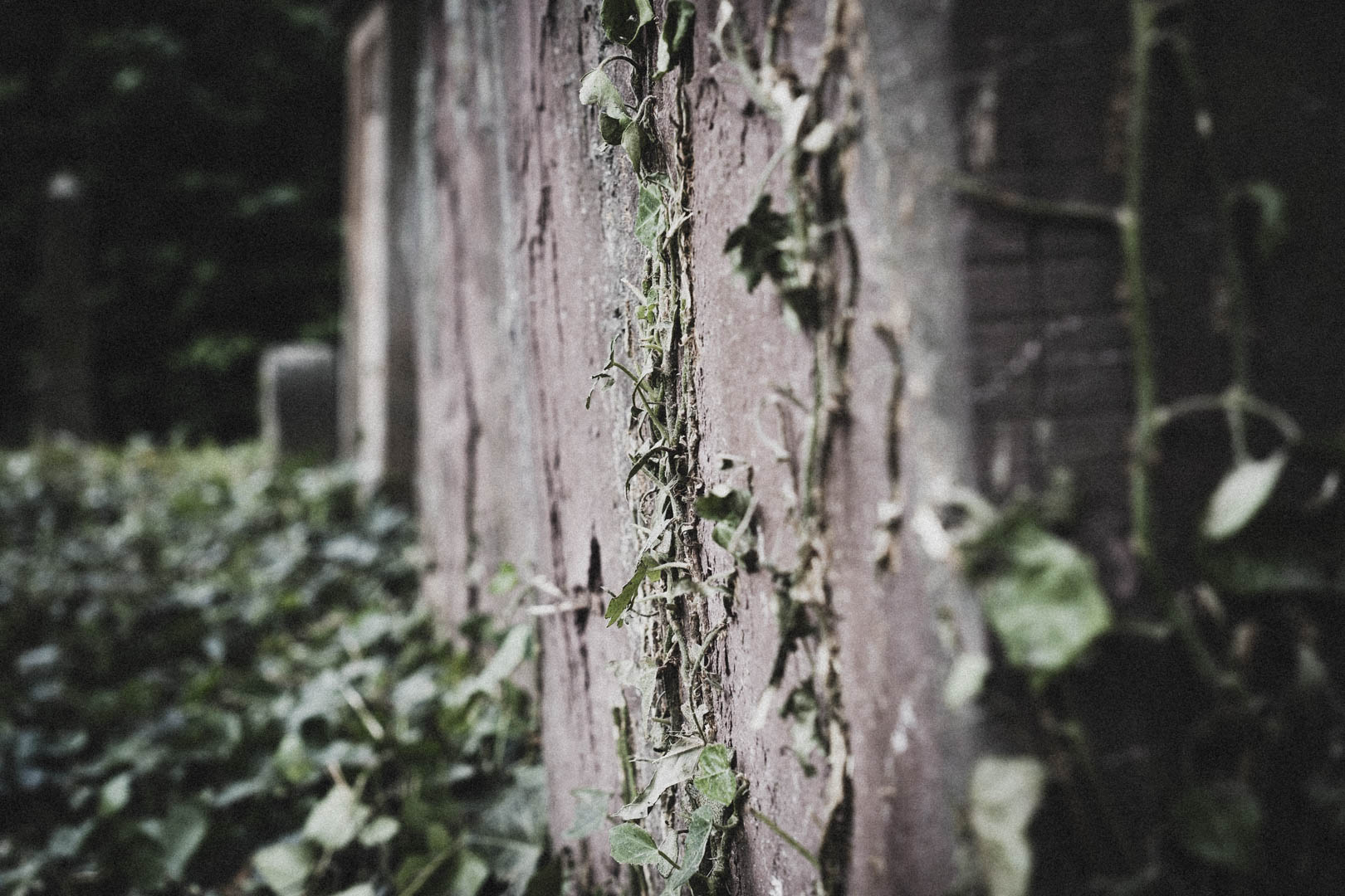 Salzkotten, Jüdischer Friedhof